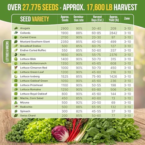 Organo Republic 22 Lettuce & Salad Greens Seeds Variety Pack 24,700+ Non-GMO Heirloom Lettuce Seeds for Indoor & Outdoor Garden, Hydroponic & Aeroponic - 2026 Season - Arugula, Spinach, Swiss Chard - Image 4