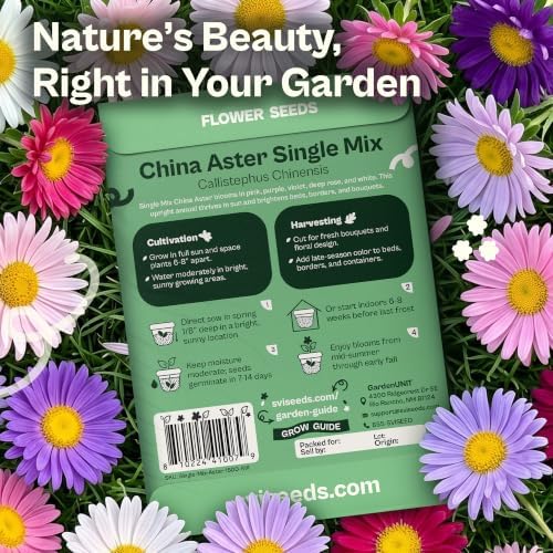 SVI 1500 Single Mix China Aster Heirloom Seeds, Callistephus chinensis - Image 2