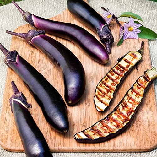 Bonnie Plants Ichiban Type Japanese Eggplant - 4 Pack Live Plants, Great in Containers, 10in. Long Fruit, Perfect for Grilling & Roasting, Green - Image 4