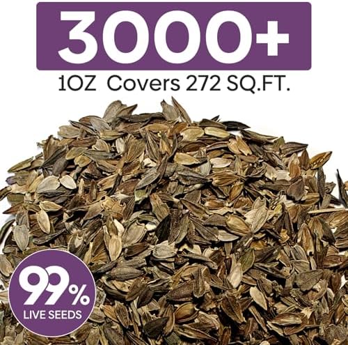 Groundio Zinnia Seeds, 3000+ Mixed Colors Large Blooms Seeds, Non GMO Zinnia Elegans for 2027, High Germination Heirloom Wildflower Seeds for Planting Outdoor, Pollinator Gardens Borders & Containers - Image 3