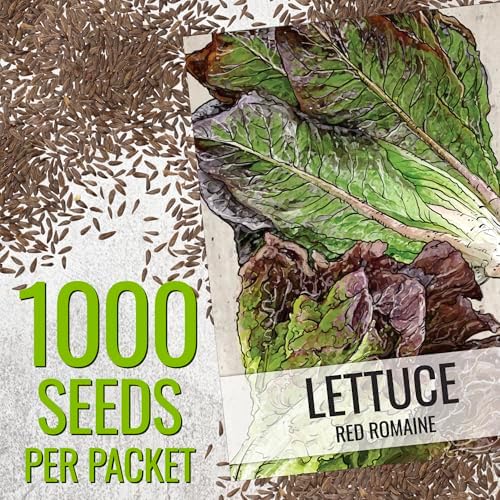 Seed Needs Romaine Lettuce Seeds Variety Pack of 2 Vegetables for Planting - Image 3