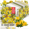 Seed Needs St. John's Wort Seeds to Plant an Herb Garden - 20 Packs by SeedNeeds