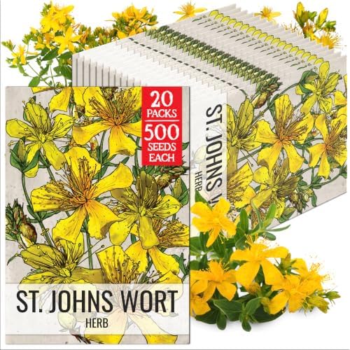 Seed Needs St. John's Wort Seeds to Plant an Herb Garden - 20 Packs by SeedNeeds