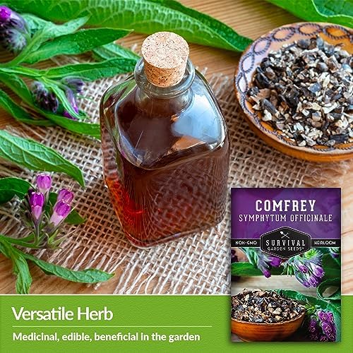 Comfrey Seeds - Symphytum Officinale - Perennial Medicinal Herb (5 Packs) - Image 4