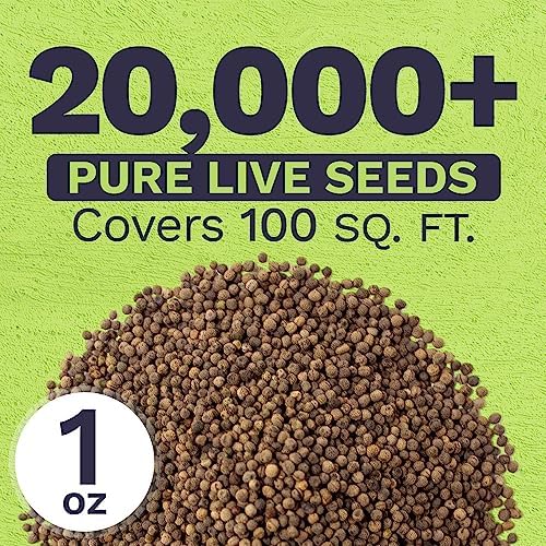 California Orange Poppy Wildflower Seeds - Bulk 1 Ounce Packet - Over 20,000 Native Seeds - California State Flower! - Image 3
