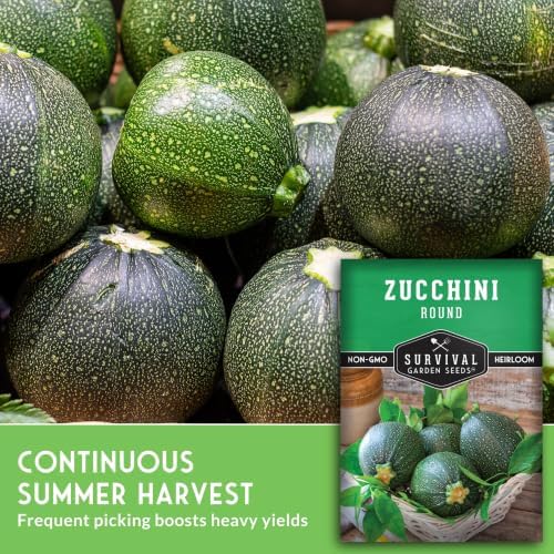 Round Zucchini Seeds for Planting - 2 Packs - Image 5