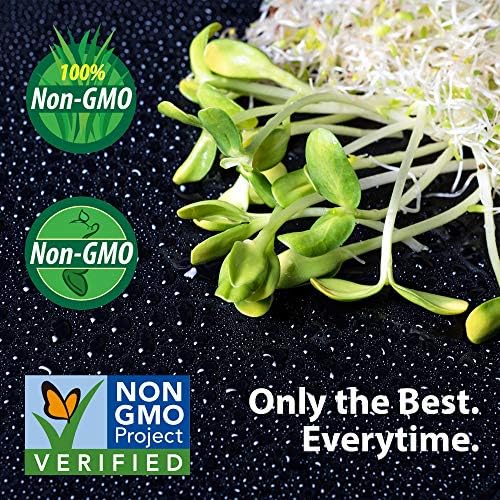 Handy Pantry Organic Broccoli Sprout Growing Kit Non-GMO Seeds - Image 6