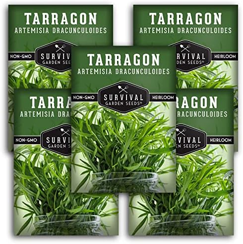 Russian Tarragon Seeds for Planting - 5 Packs by SurvivalGardenSeeds