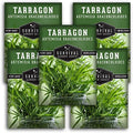 Russian Tarragon Seeds for Planting - 5 Packs by SurvivalGardenSeeds