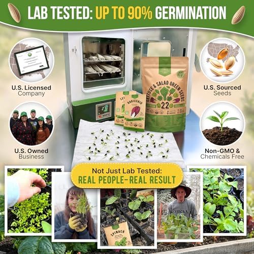 Organo Republic 22 Lettuce & Salad Greens Seeds Variety Pack 24,700+ Non-GMO Heirloom Lettuce Seeds for Indoor & Outdoor Garden, Hydroponic & Aeroponic - 2026 Season - Arugula, Spinach, Swiss Chard - Image 2