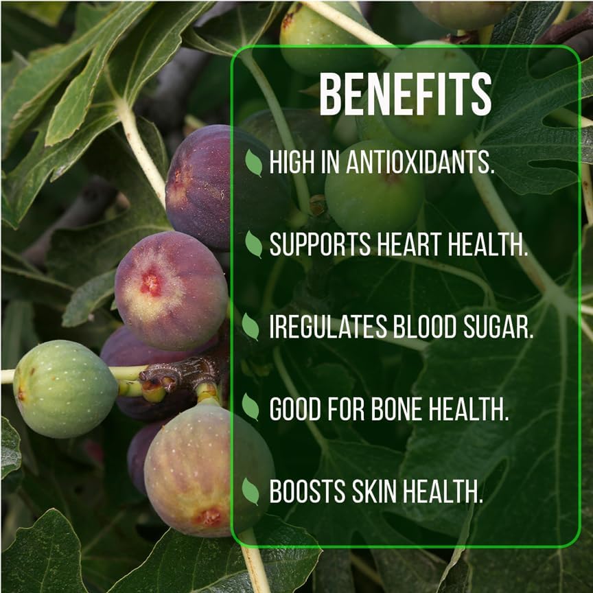 Fig Tree Collection (4 Pack) Edible Fruit Plant from Our Optimal Picks | Easy to Grow Plants for Sustainable Living | Grow Your own Food on Your Edible Organic Garden | Live for Planting | No Seeds - Image 5
