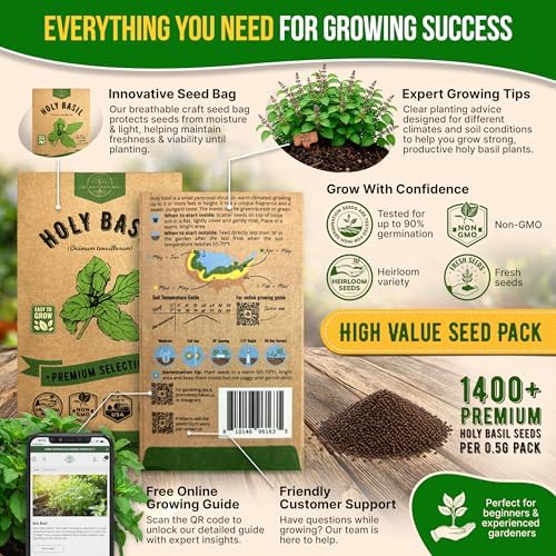 Organo Republic Holy Basil Seeds Pack 0.5 G - Over 1,400 Non-GMO Heirloom Basil Seeds for Planting Herbs in Individual Seed Packet, Herbs Seeds for Planting Home Garden Indoor & Outdoor Gardening - Image 3