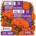 150 Orange Butterfly Milkweed Heirloom Flower Seeds, Asclepias Tuberosa by KVITER