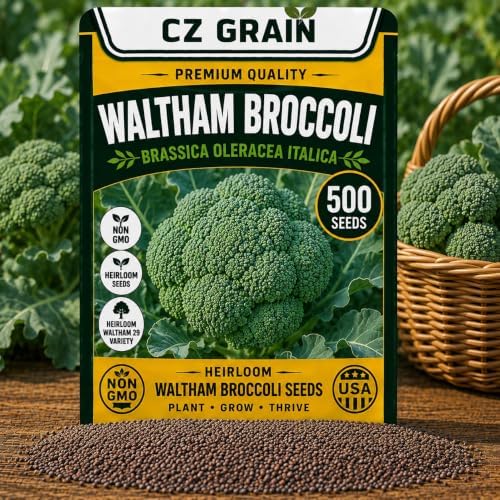 500 Waltham Broccoli Seeds | Heirloom Vegetable Seeds for Planting by CZGrain