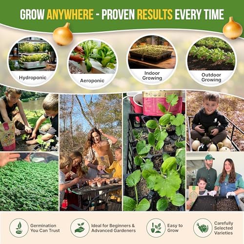 Organo Republic 30 Most Popular Winter Vegetable Garden Seeds Variety Pack- Outdoors/Indoor 33,200+ Non-GMO Heirloom Veggie Seeds Broccoli Beet Carrot Cabbage Chives Lettuce Radish Pea Spinach & More - Image 5