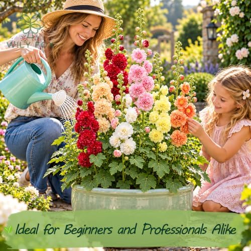 Rare Hollyhock Seeds – 300+ Double Hollyhock Flower Seeds – Non-GMO, Heirloom Perennial – Showy Blooms for Outdoor Planting - Image 2
