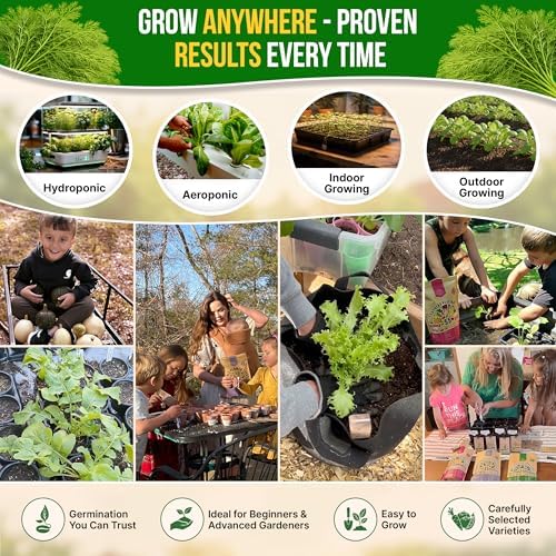 Organo Republic Dill Bouquet Seeds Pack 5 G - Over 1,400 Non-GMO Heirloom Dill Seeds for Planting Herbs in Individual Seed Packet, Herbs Seeds for Planting Home Garden Indoor & Outdoor Gardening - Image 5