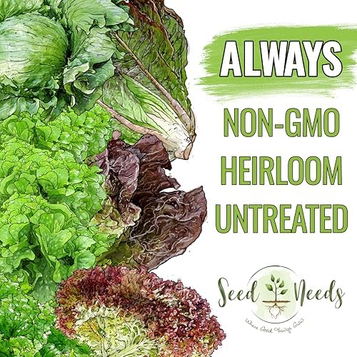 Seed Needs Lettuce Seeds Variety Pack of 14 Non-GMO Heirloom Vegetables - Image 4