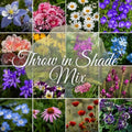 Wildflowers for Shade – Throw in Shade™ – 16-Species Shade-Tolerant Wildflower Seed Mix with Baby Blue Eyes for Partial Shade & Low-Light Gardens – 2 oz Covers 400 Sq Ft – Paper Street Perennials® by PaperStreetPerennials