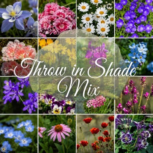 Wildflowers for Shade – Throw in Shade™ – 16-Species Shade-Tolerant Wildflower Seed Mix with Baby Blue Eyes for Partial Shade & Low-Light Gardens – 2 oz Covers 400 Sq Ft – Paper Street Perennials® by PaperStreetPerennials