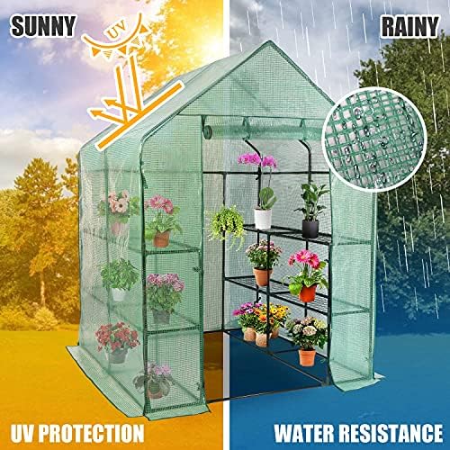 Walk-in Greenhouse - 3 Tiers 8 Shelves Plant Stands, Outdoor With Anchors Roll-up Zipper Door, Waterproof Gardening, PE Cover, 56"x56"x77" - Image 5