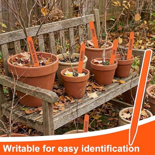 Weysat 200 Pcs 12" Wood Plant Labels for Field or Containers Plant Tags Wood Garden Labels for Seedling Stakes Markers Nursery Seed Tags with Smooth Surface for Pot Herbs Flowers Vegetables (Orange) - Image 4