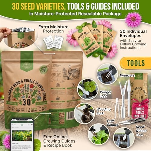 Organo Republic 30 Culinary Herbs & Edible Flower Seed Variety Pack- Indoor/Outdoor. 14000+ Non-GMO Heirloom Flower Seeds: Basil, Borage, Echinacea, Lavender, Oregano, Rosemary Seeds & More - Image 3
