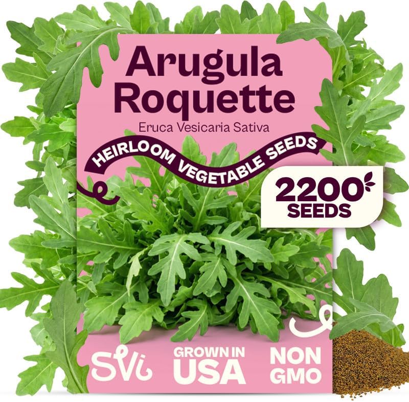 SVI 2200 Roquette Arugula Seeds (Eruca vesicaria sativa) – Rocket Arugula Seed Packets – Peppery Salad Greens, Heirloom Vegetable Seeds for Raised Beds, Containers, Indoor Garden & Outdoor Herb Garden by SVI