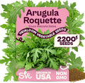 SVI 2200 Roquette Arugula Seeds (Eruca vesicaria sativa) – Rocket Arugula Seed Packets – Peppery Salad Greens, Heirloom Vegetable Seeds for Raised Beds, Containers, Indoor Garden & Outdoor Herb Garden by SVI