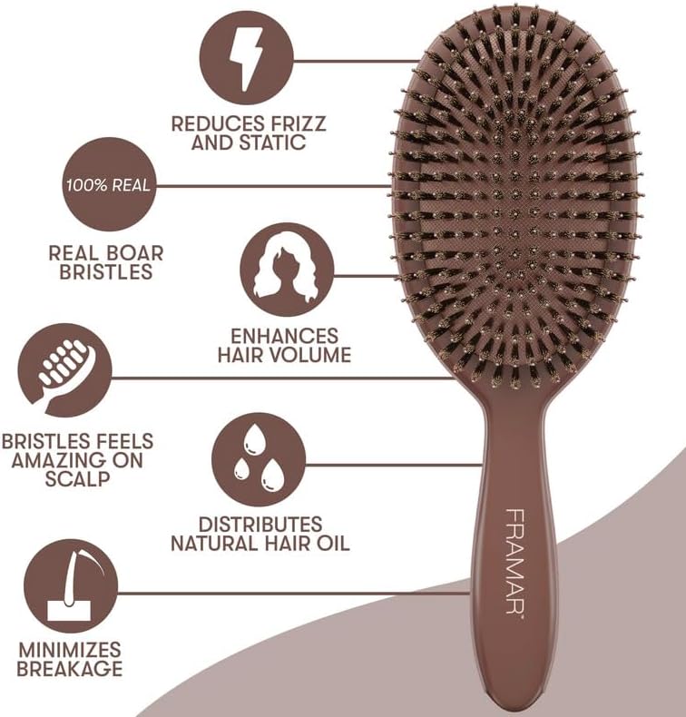 FRAMAR Soft Boar Bristle Hair Brush For Women, Boars Hair Brush For Women - Image 6