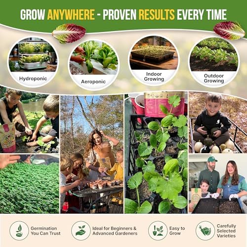 Organo Republic 22 Lettuce & Salad Greens Seeds Variety Pack 24,700+ Non-GMO Heirloom Lettuce Seeds for Indoor & Outdoor Garden, Hydroponic & Aeroponic - 2026 Season - Arugula, Spinach, Swiss Chard - Image 5