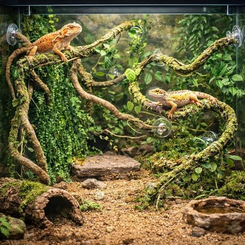 HERCOCCI Reptile Vines, Flexible Jungle Climbing Vines Terrarium Plastic Plants and Leaves Tank Accessories Decor for Gecko Snake Lizard Bearded Dragon Hermit Crab Frog - Image 4