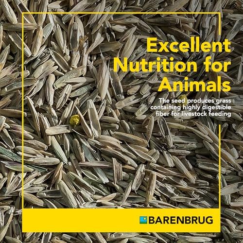 Pasture Seed, 25 lb 23094 - Image 5