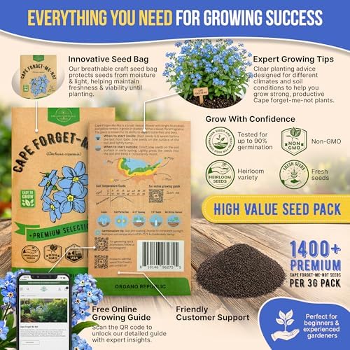 Cape Forget-Me-Not Seeds Pack 3G - Over 1,400 Non-GMO Heirloom Cape Forget-Me-Not Seeds for Planting Flowers in Individual Seed Packet, Flower Seeds for Planting Home Garden Indoor & Outdoor Gardening - Image 3