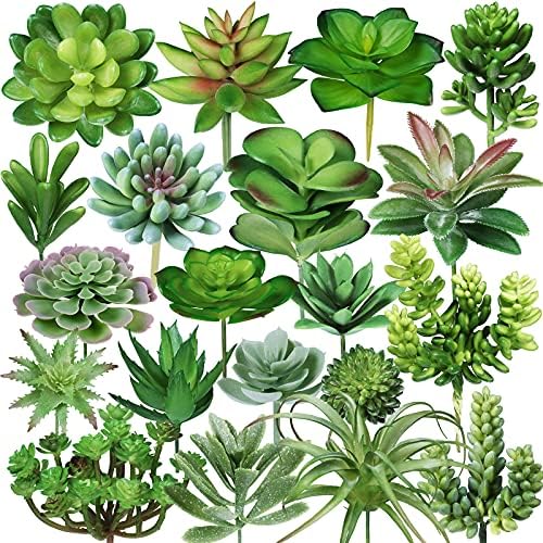 Winlyn 20 Pcs Assorted Artificial Succulents Plants Unpotted Small Green Cactus Echeveria Air Plant Picks Fake Succulents Bulk for Succulent Garden Wreath Floral Arrangement Indoor Outdoor Home Decor by Winlyn