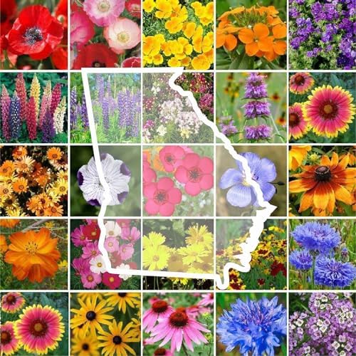 Eden Brothers Georgia Wildflower Mixed Seeds for Planting, 1 lb by EdenBrothers