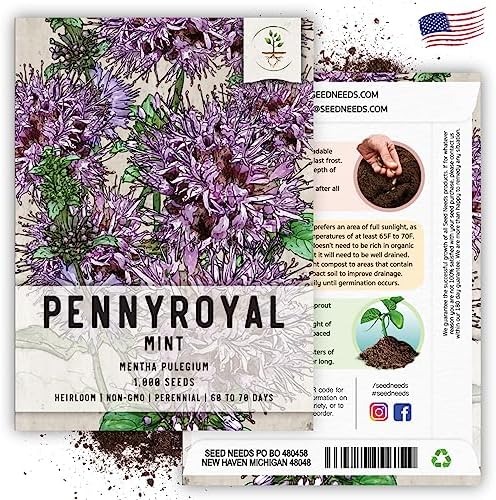 Seed Needs Pennyroyal Mint Seeds to Plant an Herb Garden - 1 Pack - Image 5