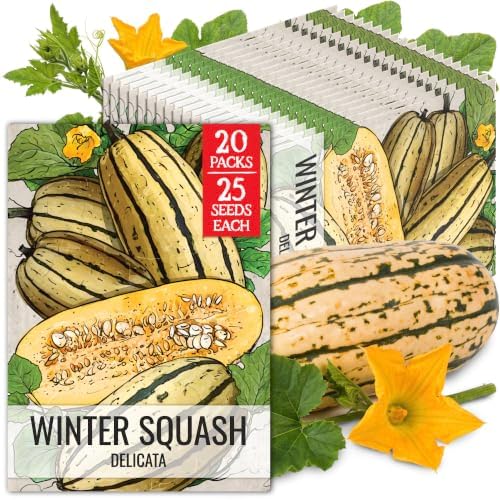 Seed Needs Delicata Winter Squash Seeds to Plant Vegetables - 20 Packs by SeedNeeds