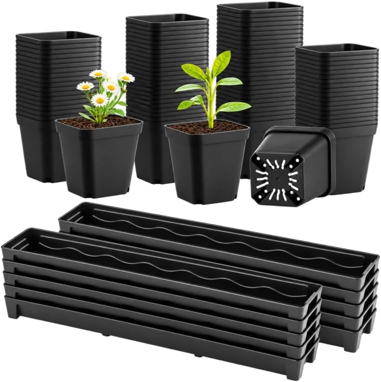 RooTrimmer 10 Pack Plastic Windowsill Saucer with 2.8 inch (7CM) Square Nursery Pots 60pcs, Rectangular Window Sill Plant Pot Trays with Removable Drainage Hole, Thick Plant Saucer Tray (Black) by RooTrimmer
