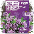 1,000 Wild Bergamot Heirloom Flower Seeds for Planting, Monarda Fistulosa by KVITER