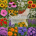 Southeastern Wildflower Seed Mix – 16 Annual & Perennial Species – Wildflowers for Southeastern Gardens – Pollinator Friendly – 1 lb Covers 2,000 Sq Ft – Paper Street Perennials® by PaperStreetPerennials
