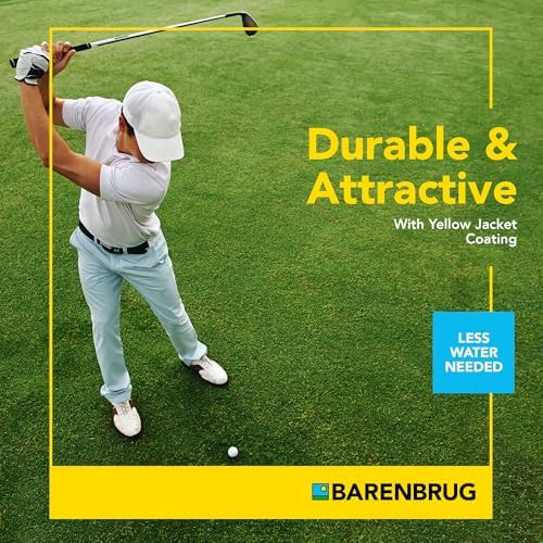Barenbrug Turf Saver RTF Grass Seed with Yellow Jacket Seed Coating - Less Water Self-Repairing Tall Fescue Turf for Use on Sports Field, Golf Courses, Parks, Lawns, and Yard (10 LB Bag) - Image 6