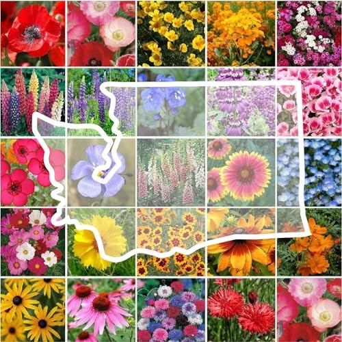 Eden Brothers Washington Wildflower Mixed Seeds for Planting, 1 oz by EdenBrothers