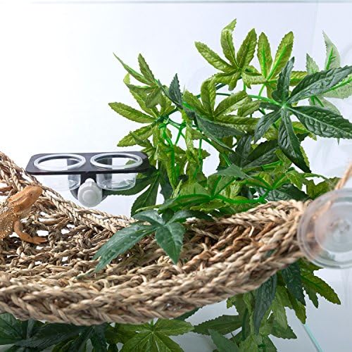 SLSON Reptile Plants Hanging Silk Terrarium Plants with Suction Cup for Bearded Dragons,Lizards,Geckos,Snake Pets and Hermit Crab Tank Habitat Decorations,Small Size,12 inches - Image 5
