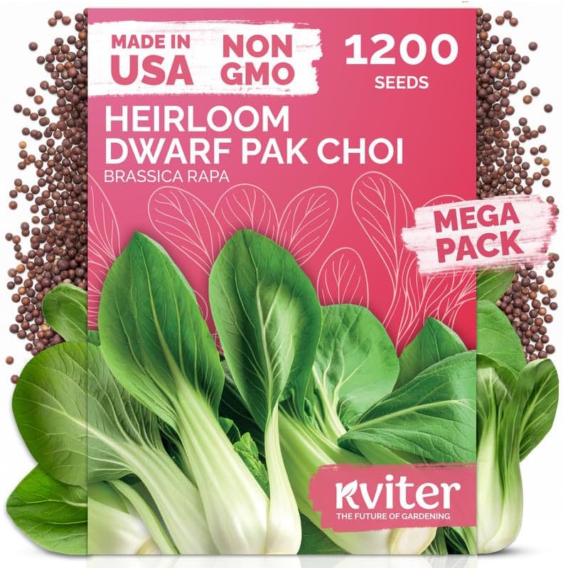 1200 Baby Bok Choy Heirloom Vegetable Seeds, Brassica Rapa subsp. Chinensis by KVITER