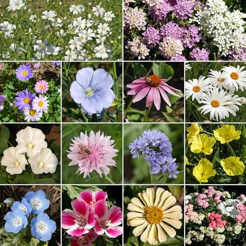 Ferry-Morse Pastel Bulk Wildflower Seeds, 230,000+, 1 lb - Image 2