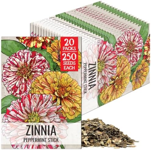 Seed Needs Peppermint Stick Zinnia Seeds to Plant Cut Flowers - 20 Packs by SeedNeeds