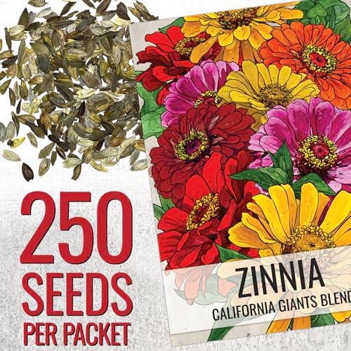 Seed Needs California Giants Zinnia Seeds to Plant Cut Flowers - 2 Packs - Image 2