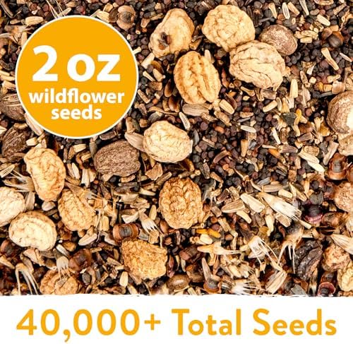 HOME GROWN 24 Wildflower Variety Mix 60,600+ Flower Seeds 2 oz - Image 5
