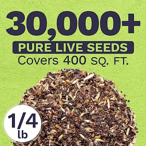 California Wildflower Mixture - Bulk 1/4 Pound Bag - Over 30,000 Native Seeds - Open Pollinated and Non GMO - Image 3
